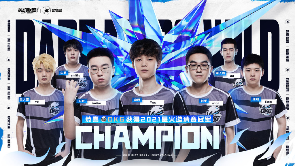 LOL手游DKG战队介绍
