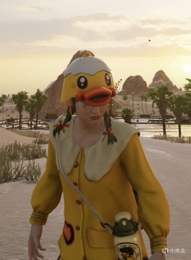 绝地求生B.DUCK联名系列皮肤怎么样