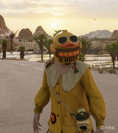 绝地求生B.DUCK联名系列皮肤怎么样