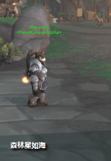 魔兽世界自恋者的塑像有什么用