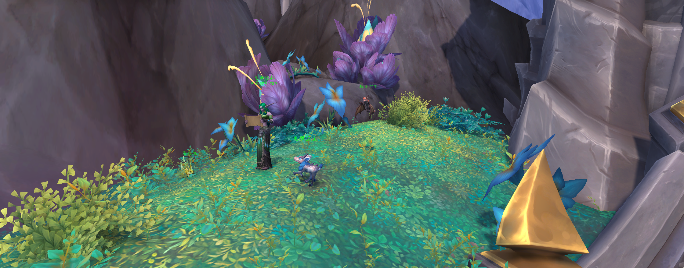 魔兽世界10.0宠物商人在哪