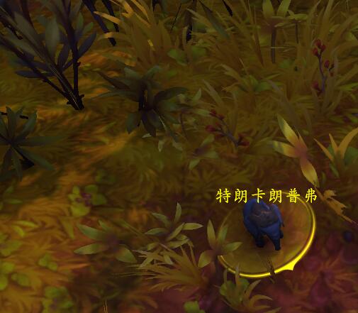 魔兽世界特朗卡朗普弗宠物怎么抓