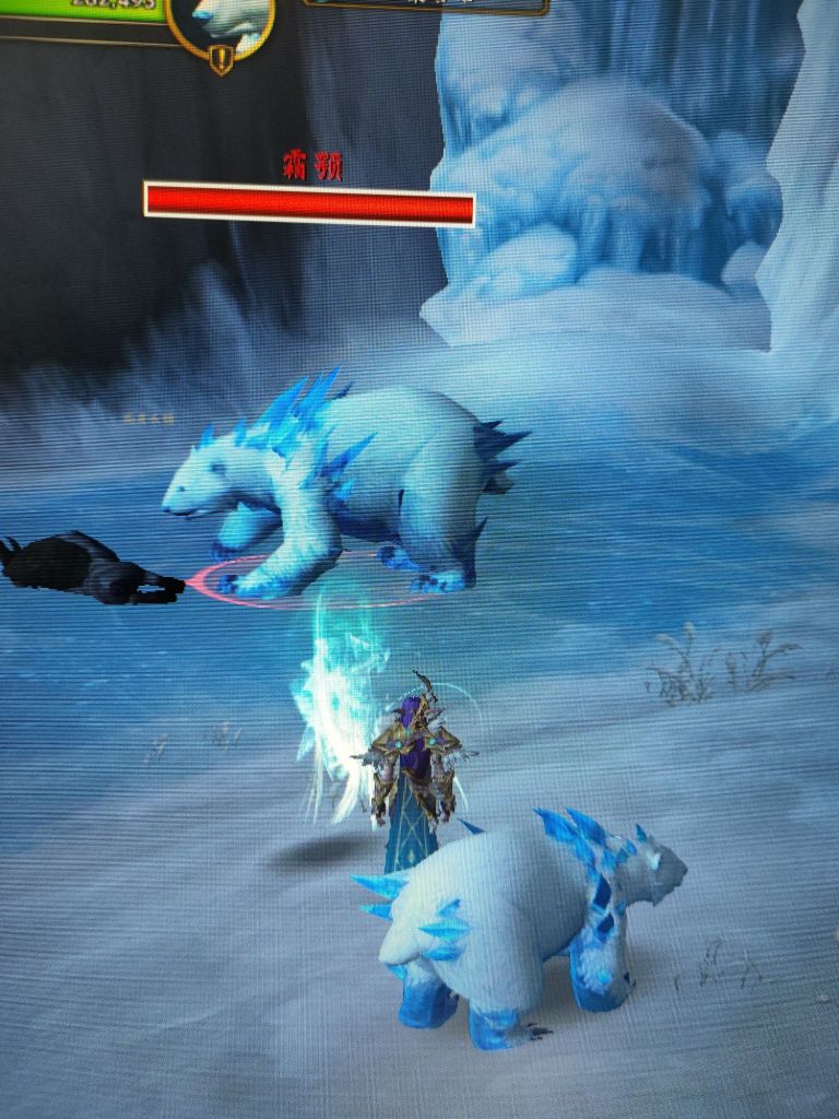 魔兽世界10.0雪暴同模型的熊在那抓