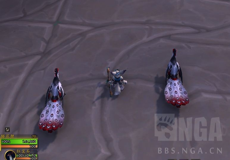 魔兽世界10.0孔雀在哪抓