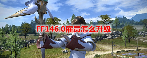 FF146.0雇员怎么升级