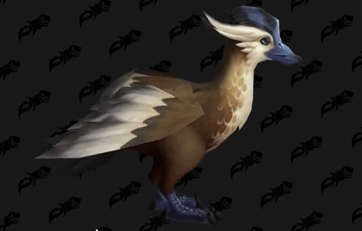 魔兽世界铁喙鸭怎么获得