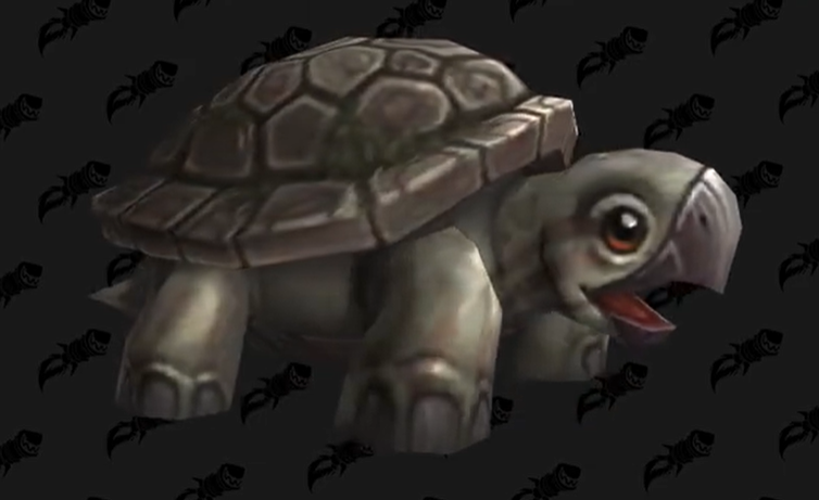 魔兽世界垩壳海龟怎么获得