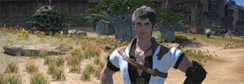 最终幻想14有多少个种族可供玩家选择