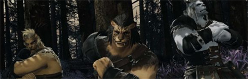 最终幻想14有多少个种族可供玩家选择