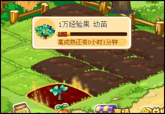 洛克王国2025红土地怎么升级