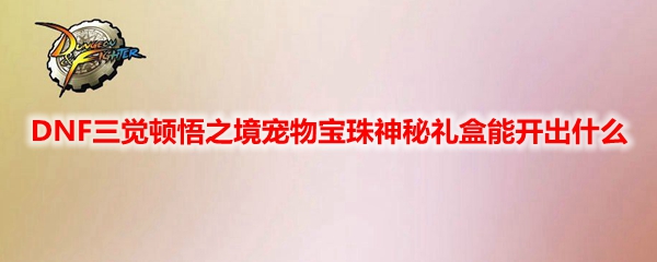 DNF三觉顿悟之境宠物宝珠神秘礼盒能开出什么