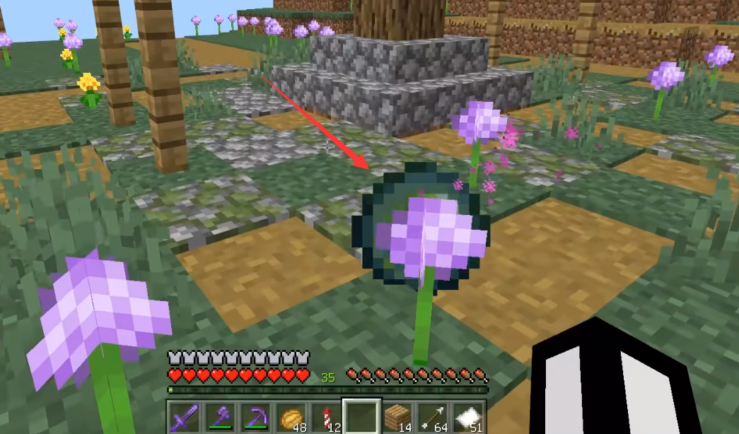 我的世界虚空之地在哪里