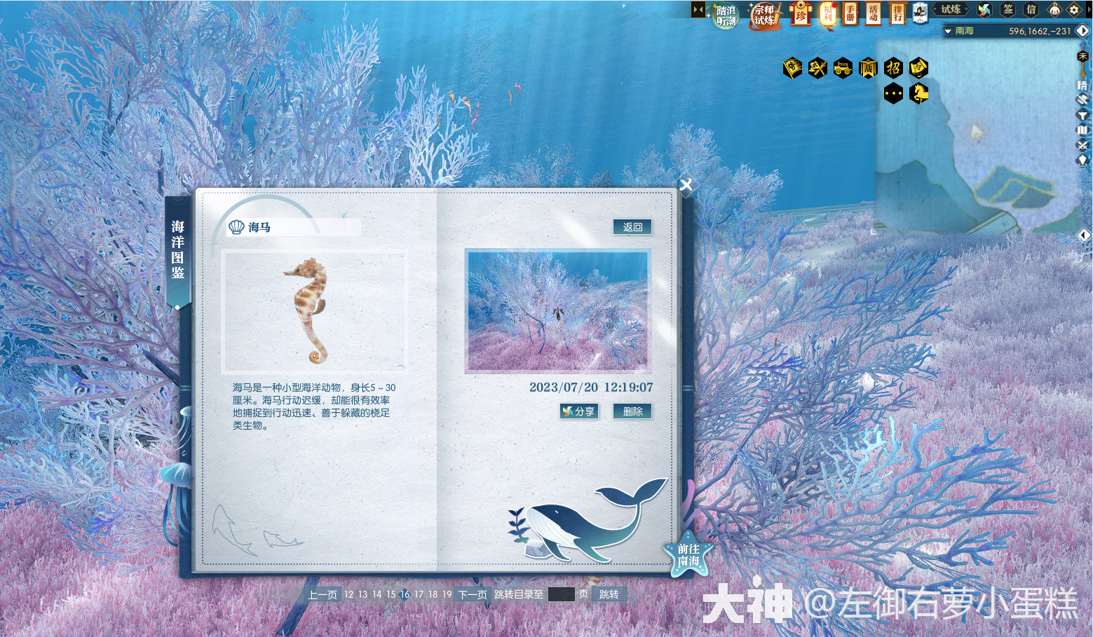 逆水寒海马在哪