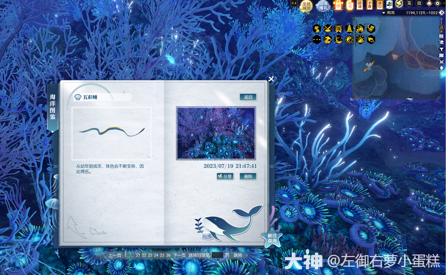 逆水寒五彩鳗在哪