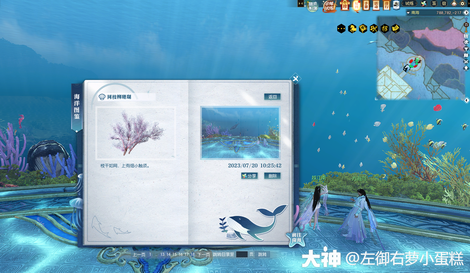 逆水寒网枝柳珊瑚在哪