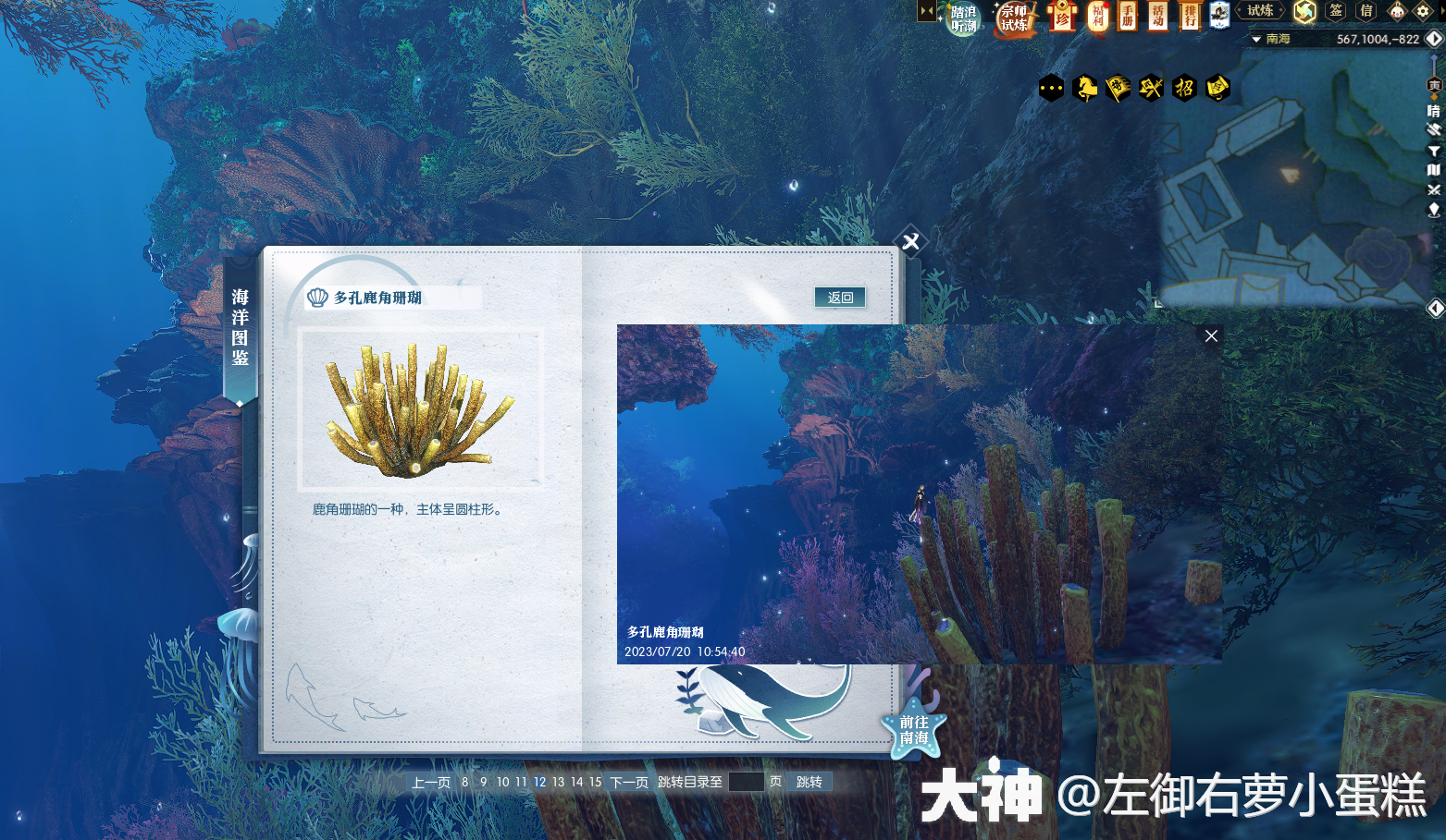 逆水寒多孔鹿角珊瑚在哪