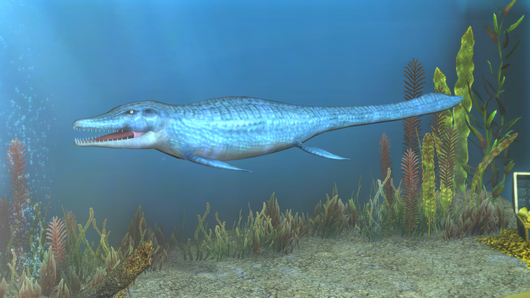 ff14 6.5更新笔记