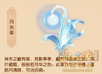 梦幻西游各门派神器五行属性2025