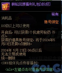 DNFSNK相伴充点券享福利活动攻略