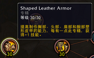 魔兽世界11.0制皮专精介绍