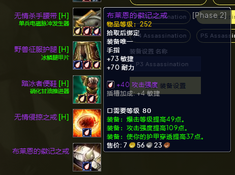 魔兽世界wlkP3奇袭贼BIS装备宝石附魔推荐