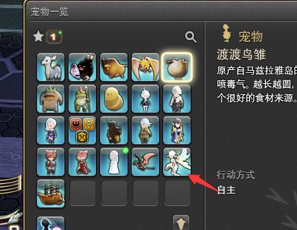 ff14如何打开宠物