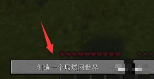 我的世界指令输入却没有执行怎么办2026版本