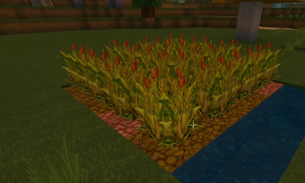 迷你世界鸡蛋怎么获得?2026