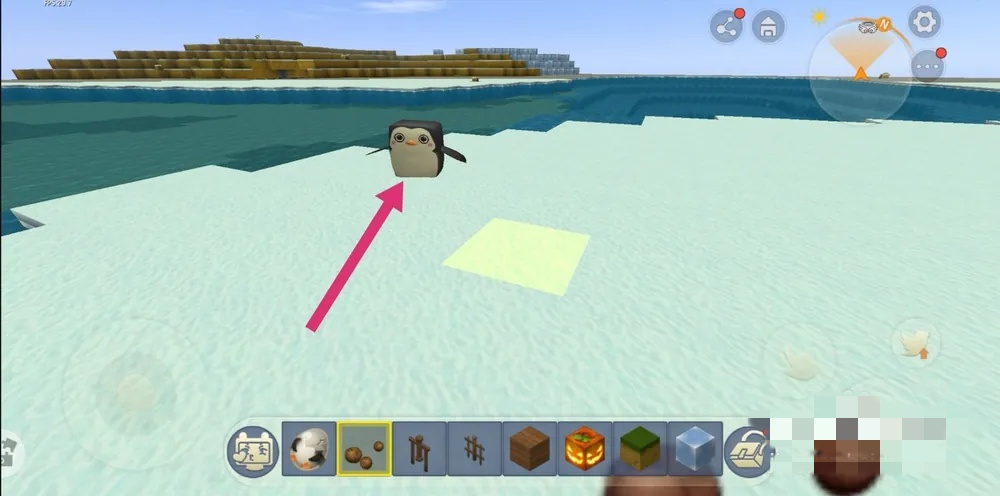 迷你世界企鹅用什么驯服?