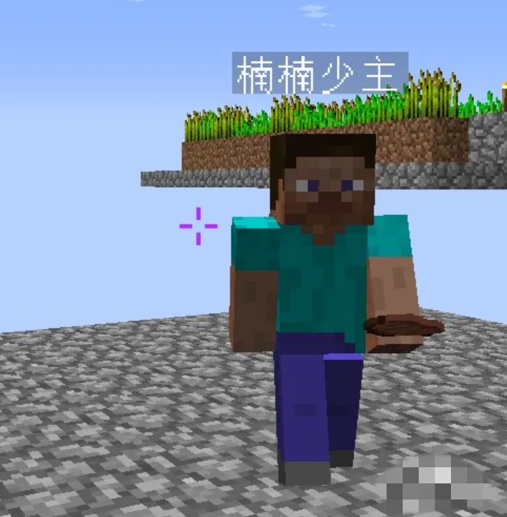 我的世界里面怎么传送到队友身边2026