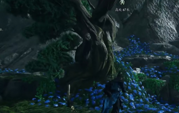 燕云十六声摇红一梦奇遇攻略