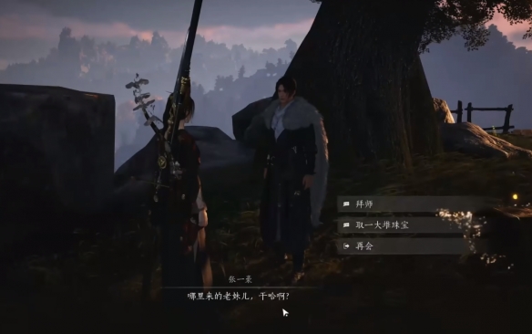 燕云十六声天泉大师兄在哪