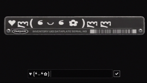 cs2枪怎么改名字