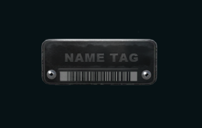 cs2枪怎么改名字