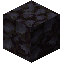 我的世界自然生成方块2025