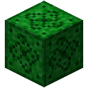 我的世界植物魔法装置图片大全