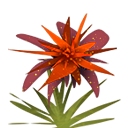 迷你世界里的作物有哪些2026