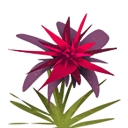 迷你世界作物有哪些2026年的