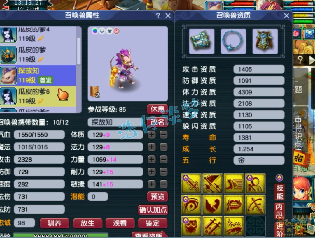 梦幻西游109方寸展示