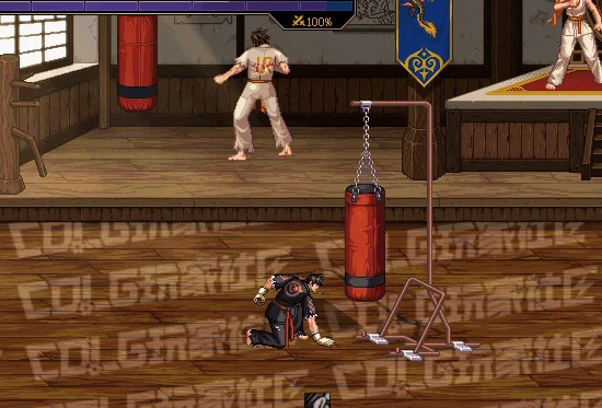 DNF男柔道全技能进化形态一览