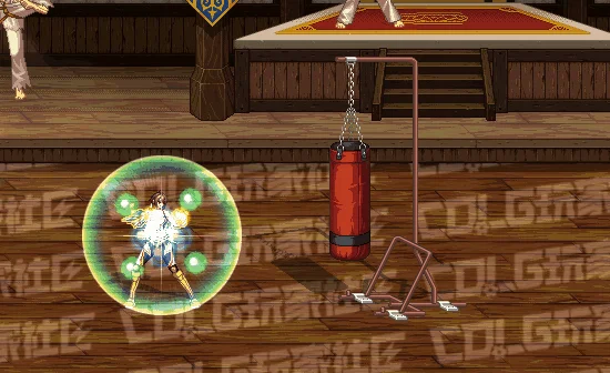 DNF女柔道全技能进化形态一览