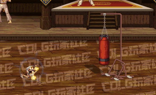 DNF女柔道全技能进化形态一览