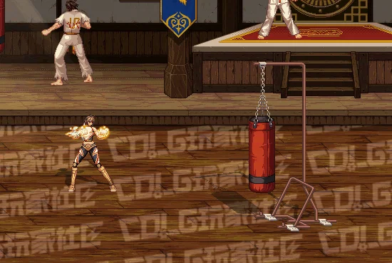 DNF女柔道全技能进化形态一览