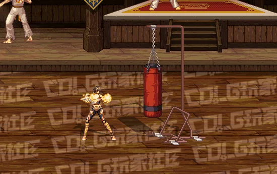 DNF女柔道全技能进化形态一览