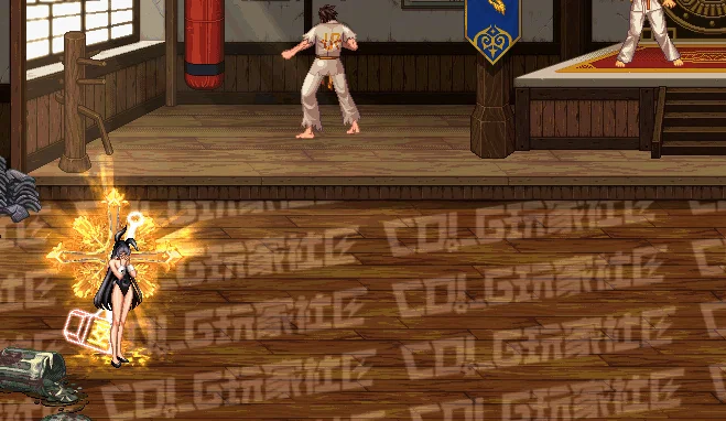 DNF奶妈全技能进化形态一览