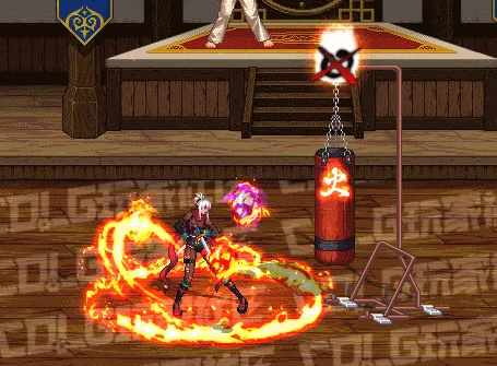 DNF忍者全技能进化形态一览