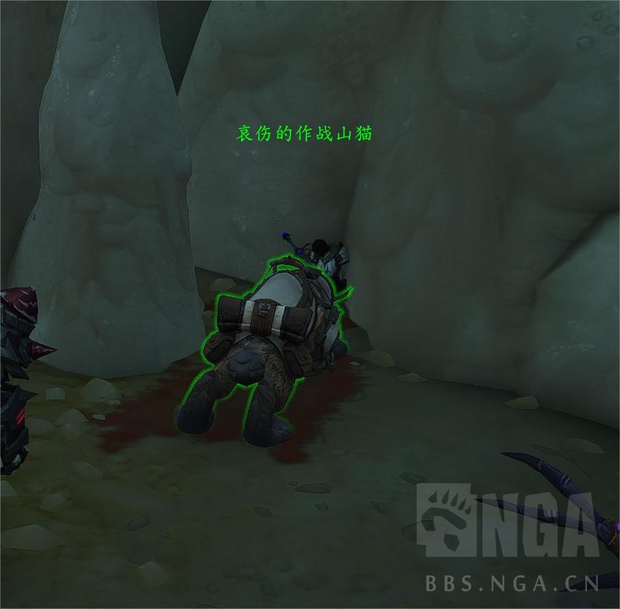 魔兽世界11.5猎人宝宝推荐