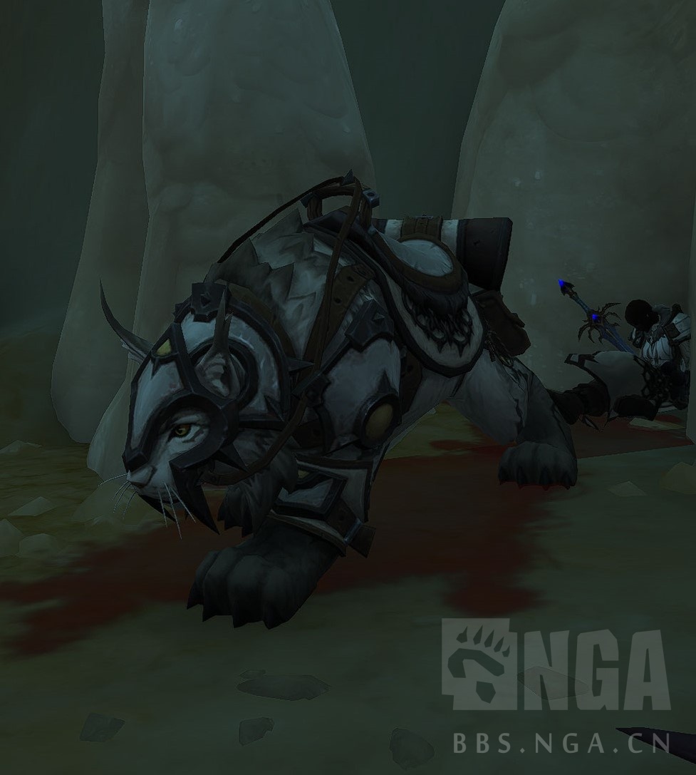 魔兽世界11.5猎人宝宝推荐