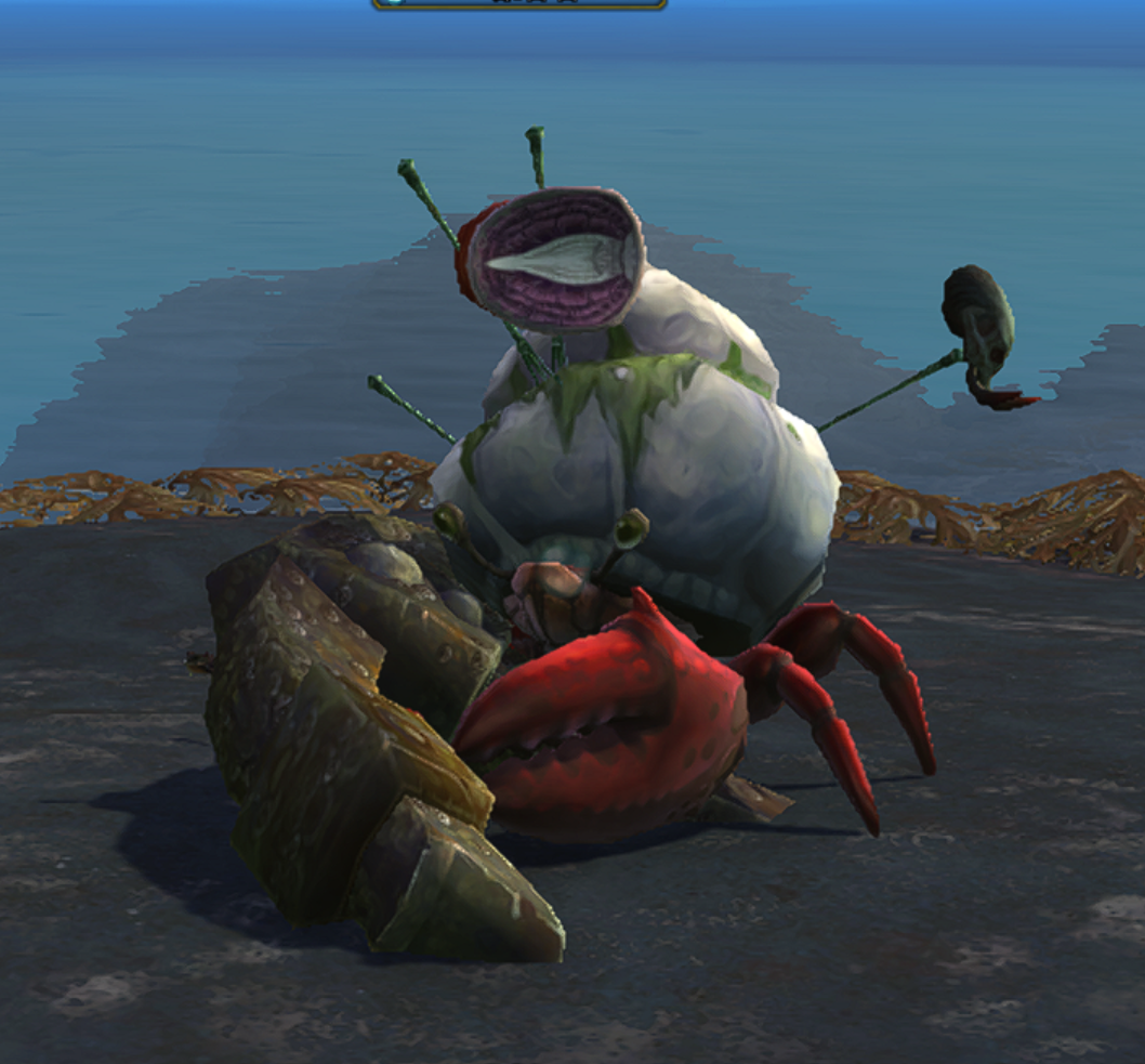 魔兽世界11.5猎人宝宝推荐