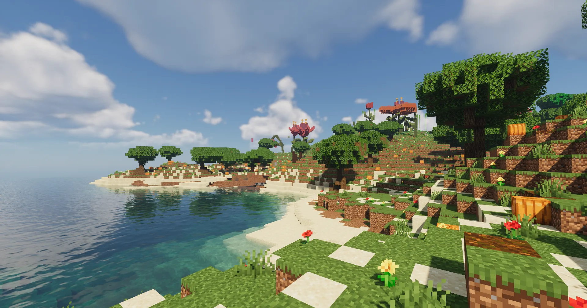 我的世界可可西里服务器一览2025